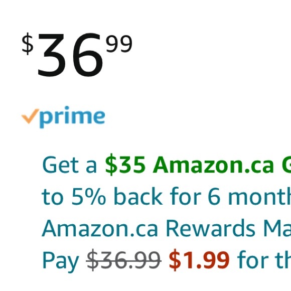 Small Dog carrier - Picture 6 of 6